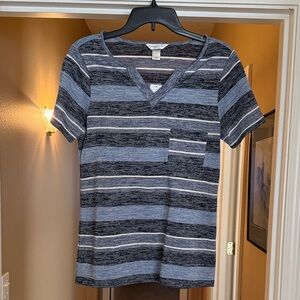 Christopher & Banks Blue and Gray Striped Top